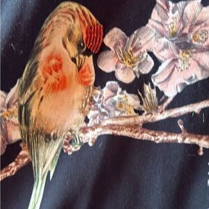 Ted Baker Bird Print Cushion Cover in Black, Peach and Green